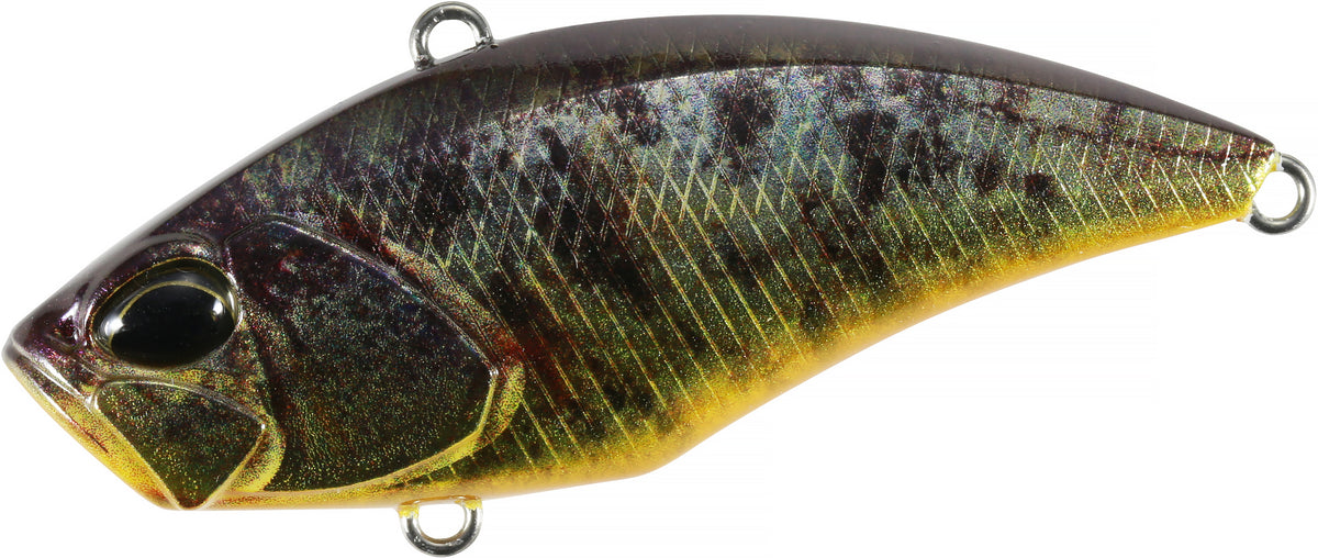 REALIS USA VIBRATION 65