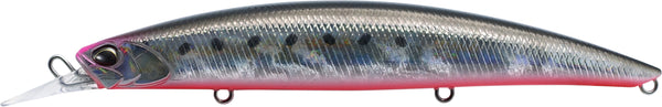 Sardine Noir