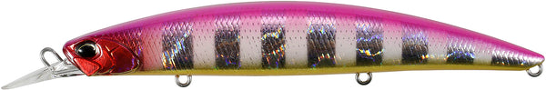 Pink Zebra Glow