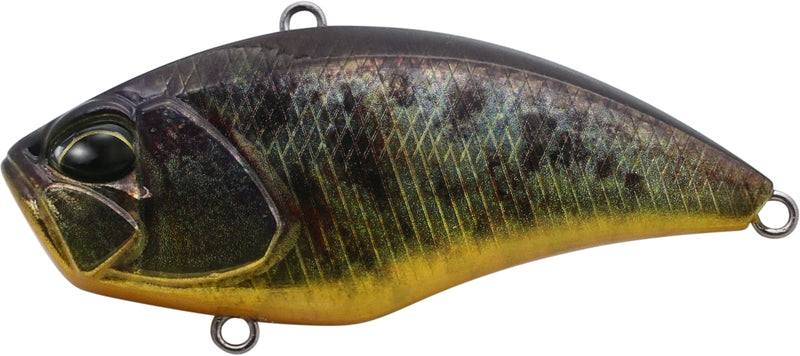 REALIS USA VIBRATION 55