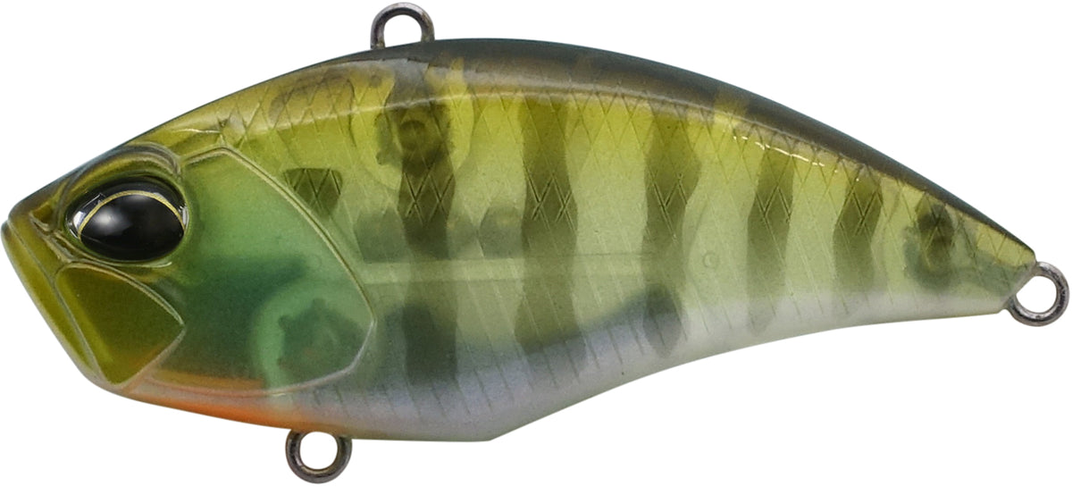REALIS USA VIBRATION 55 SR