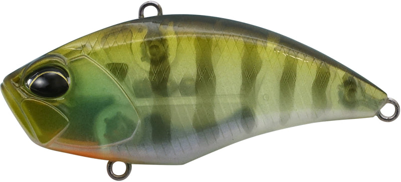 REALIS USA VIBRATION 55 SR