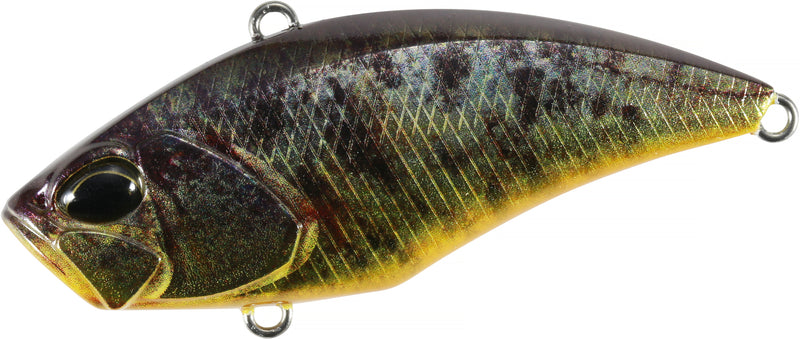 REALIS USA VIBRATION 65