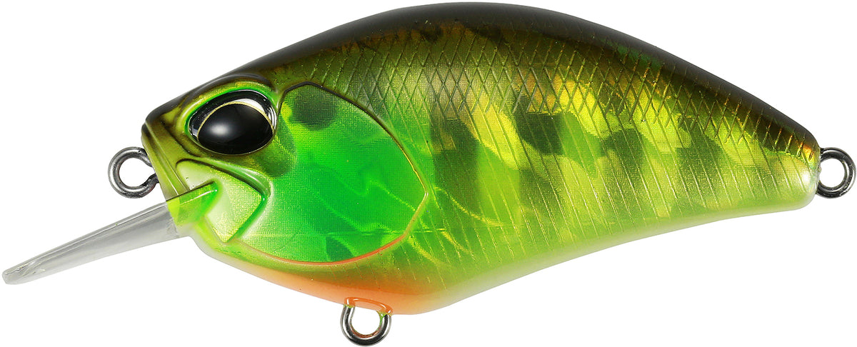 REALIS USA CRANK 55 SR
